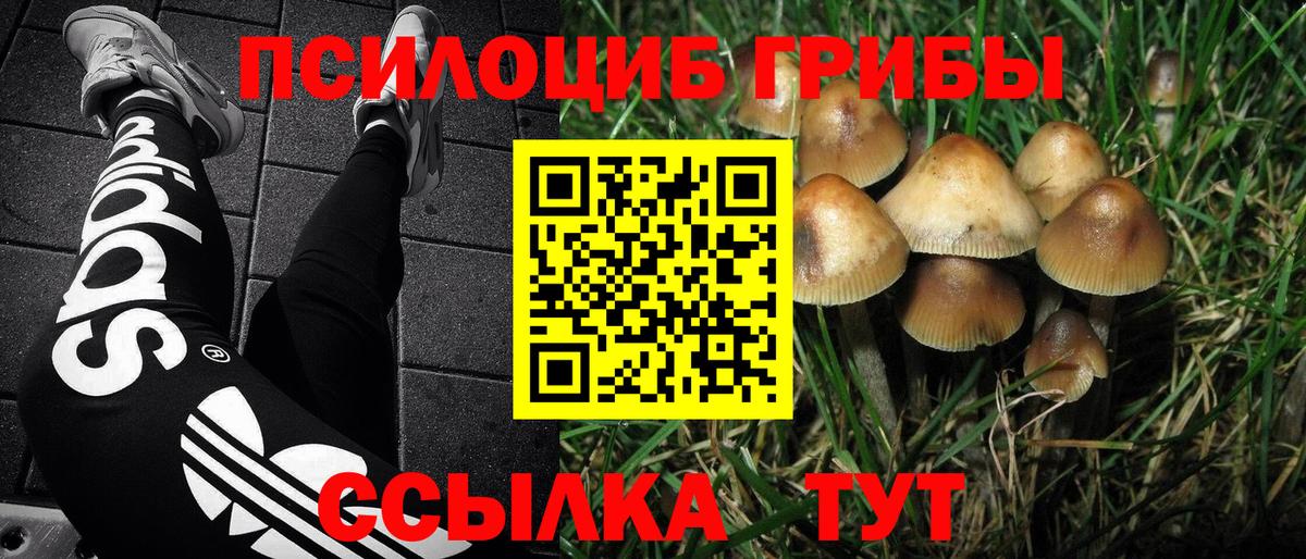 Псилоцибиновые грибы мицелий  Вход с VPN  Галлюциногенные грибы прущие грибы  Заринск 