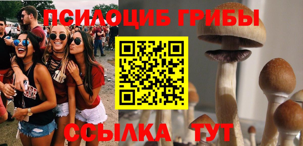 Псилоцибиновые грибы Psilocybe Заринск